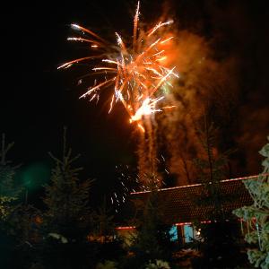 Новий рік 2008
