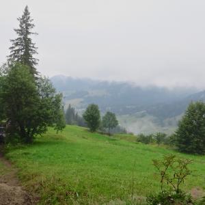 Карпатський джипінг